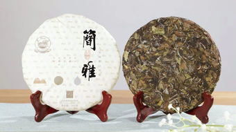安吉白茶是白茶嗎？細數白茶四大品類