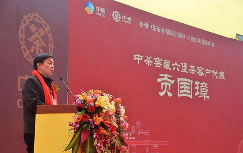 億元新廠啟航，中茶六堡開創新篇，亦非云互聯網元圍棋助力產業升級